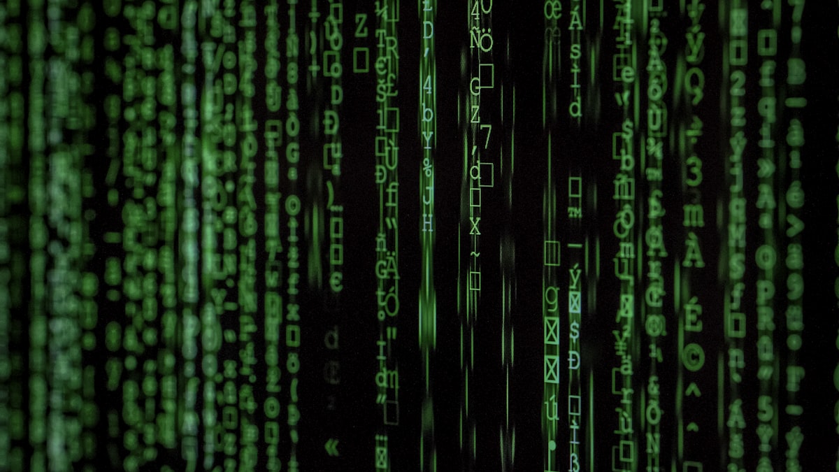 Lines of code that represent months of creative decisions — yours or someone else's?